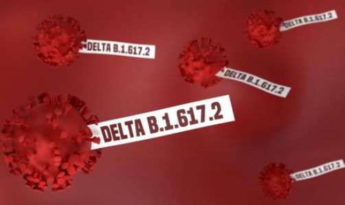 Computer graphic image of viruses with the tag DELTA B.1.617.2.